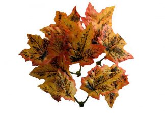 Autumn Leaves 50pcs