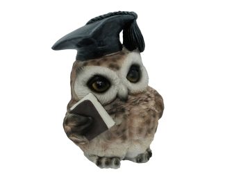 Owl Brown With Book 12cm
