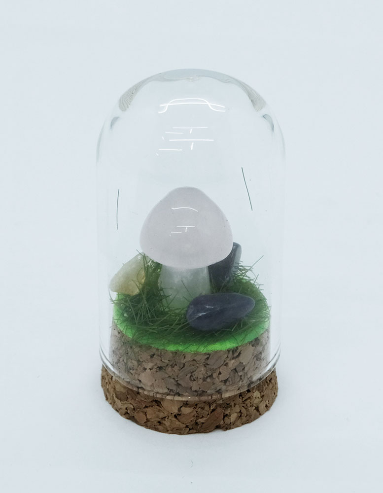 Mushroom Rose Q in Glass