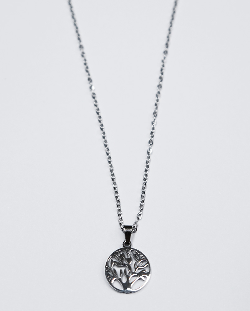 Necklace Stainless Steel TOL