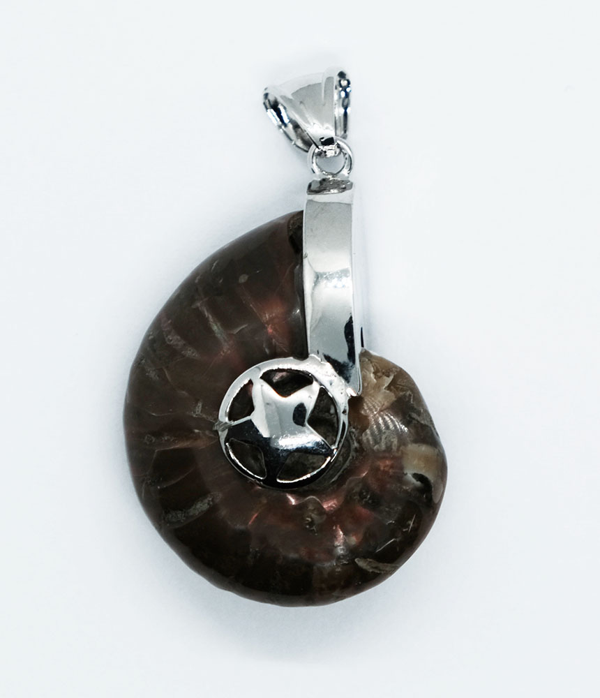 Pendant Caged Star Ammolite