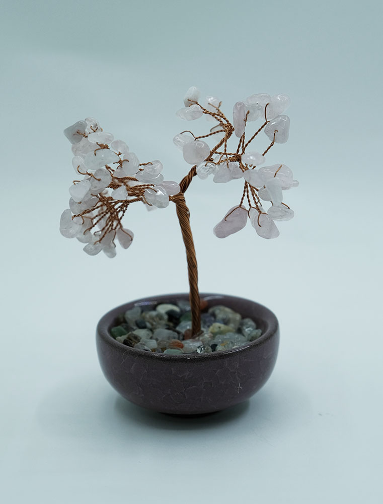 Tree Chip Rose Qz Colour Pot